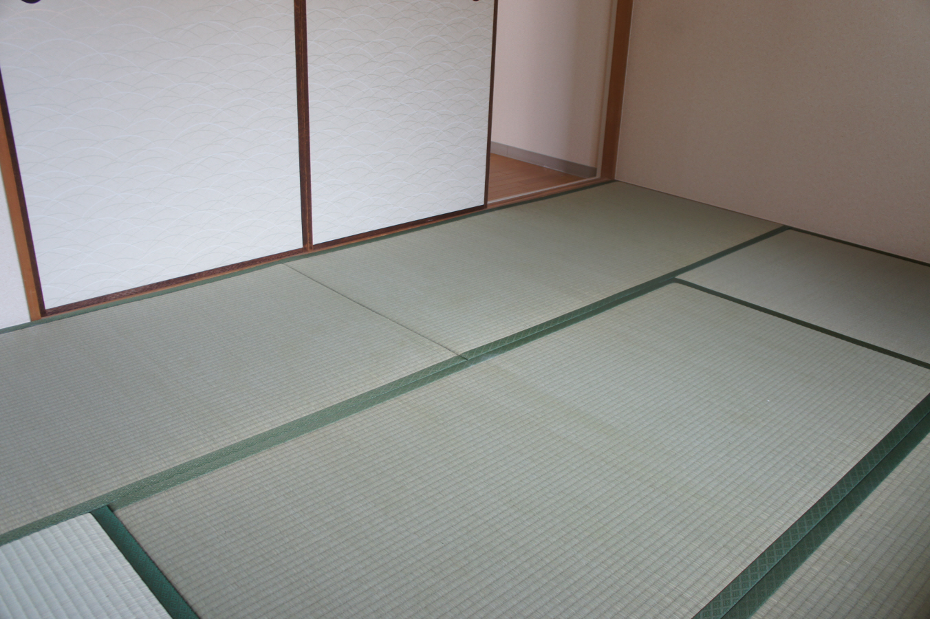 写真6