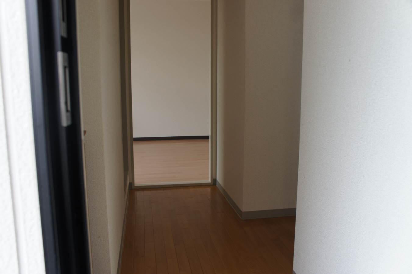 写真9