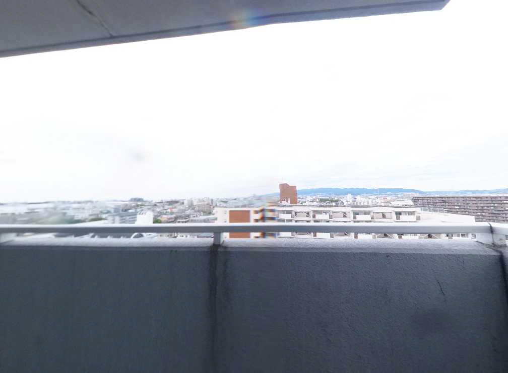 写真12