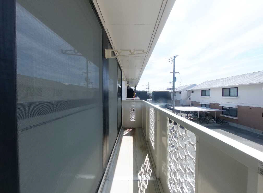 写真11