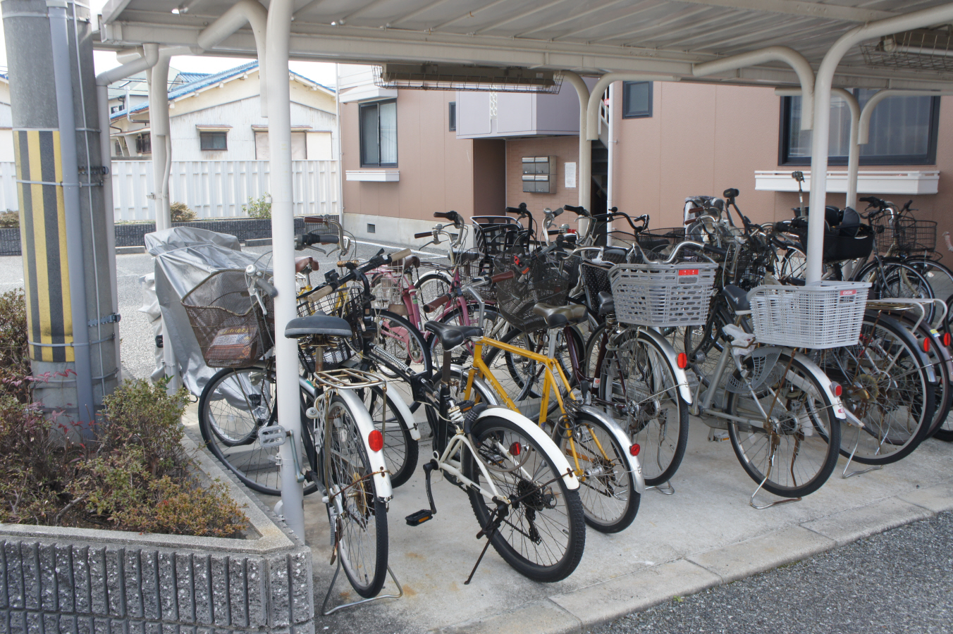 写真12